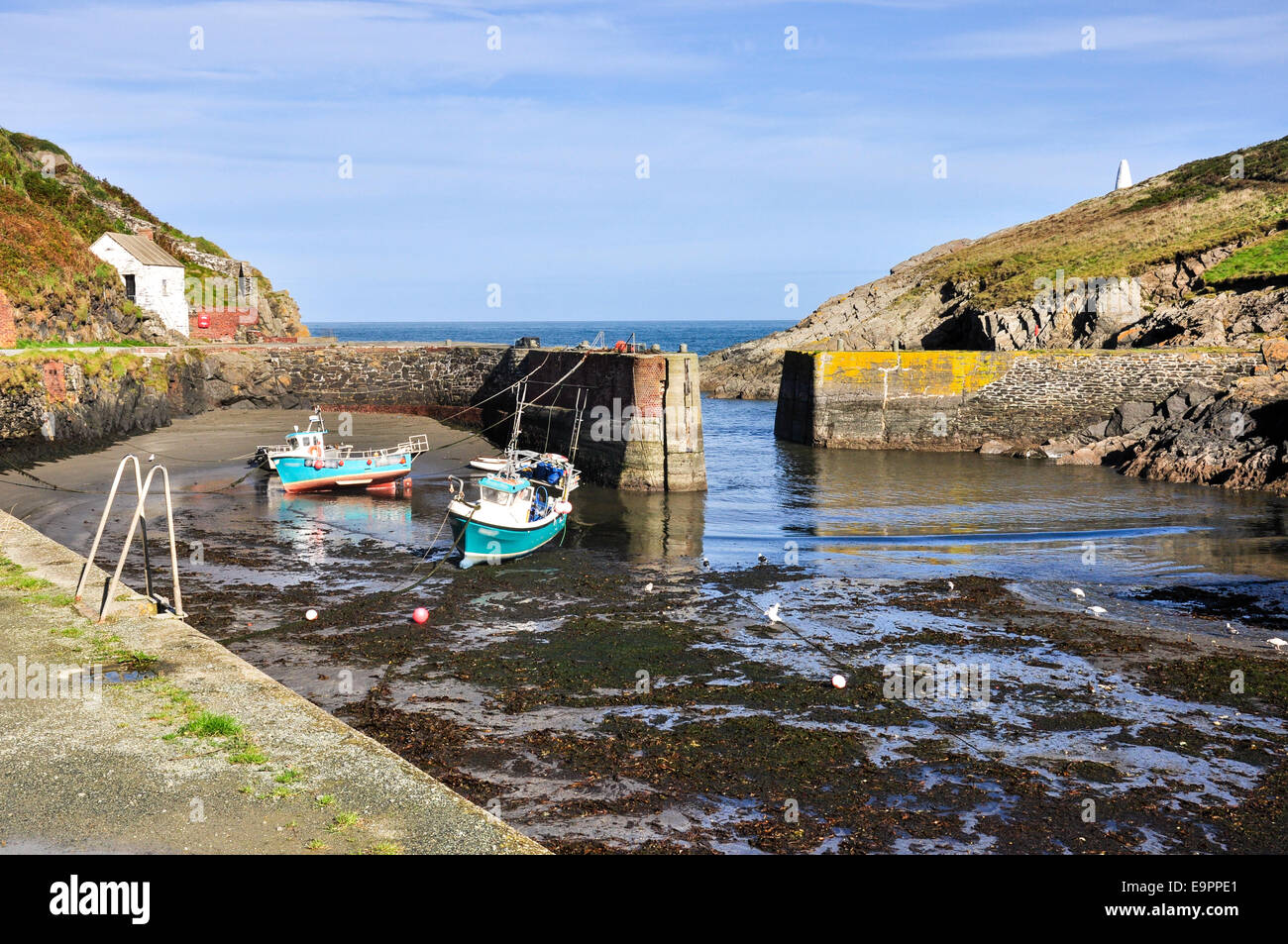 Porthgain porto con barche, Pembrokeshire Coast, il Galles. Foto Stock