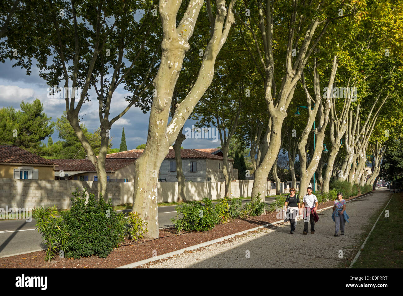 I pedoni a camminare lungo i platani (Platanus acerifolia ×) confinanti con il francese Route Nationale 7 / RN7, Francia Foto Stock