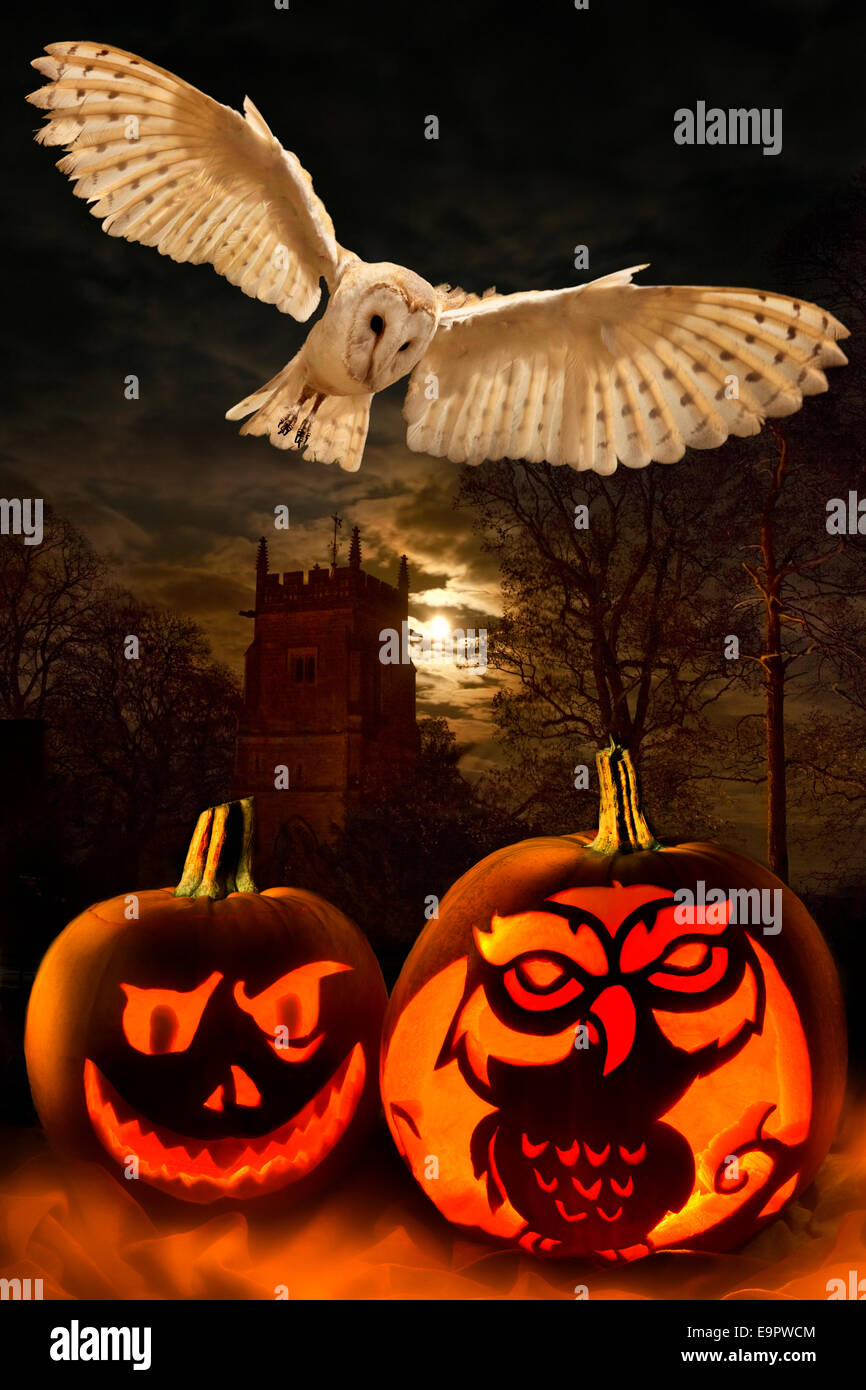 Halloween - zucche Foto Stock