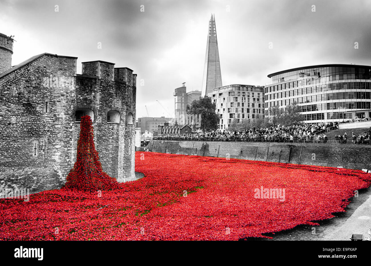 Il sangue spazzata di terre e mari del display rosso presso la Torre di Londra. Dissaturato per rimuovere il colore da edifici circostanti Foto Stock