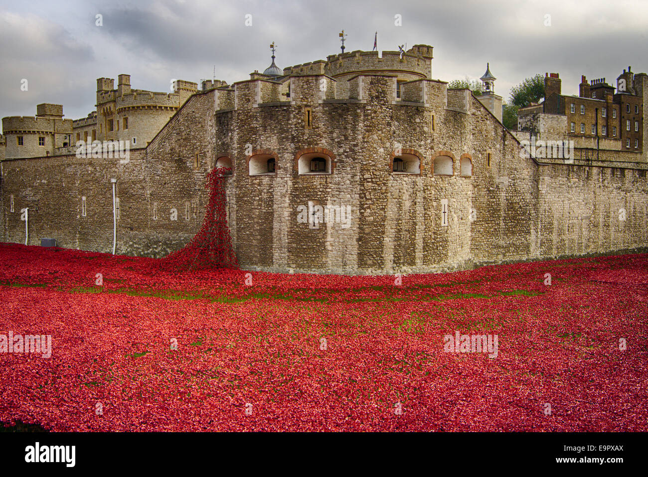 Installazione di papavero presso la Torre di Londra che mostra la torre e la cascata di papavero Foto Stock