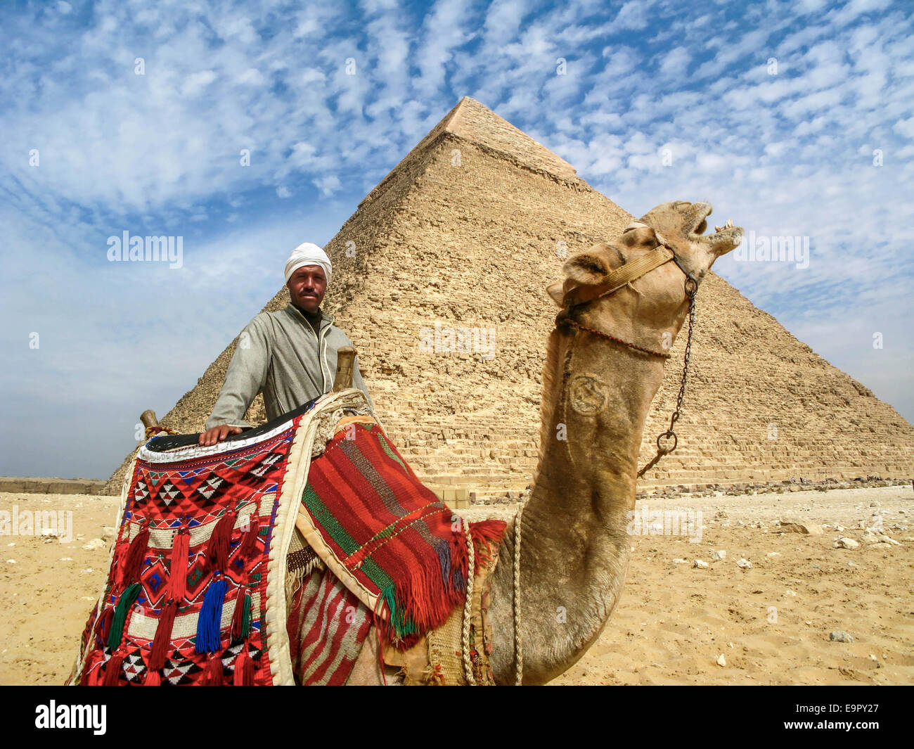 Ritratto di un cammello uomo con il suo cammello davanti alla Piramide di Khafre sull'Altopiano di Giza in Egitto. Foto Stock