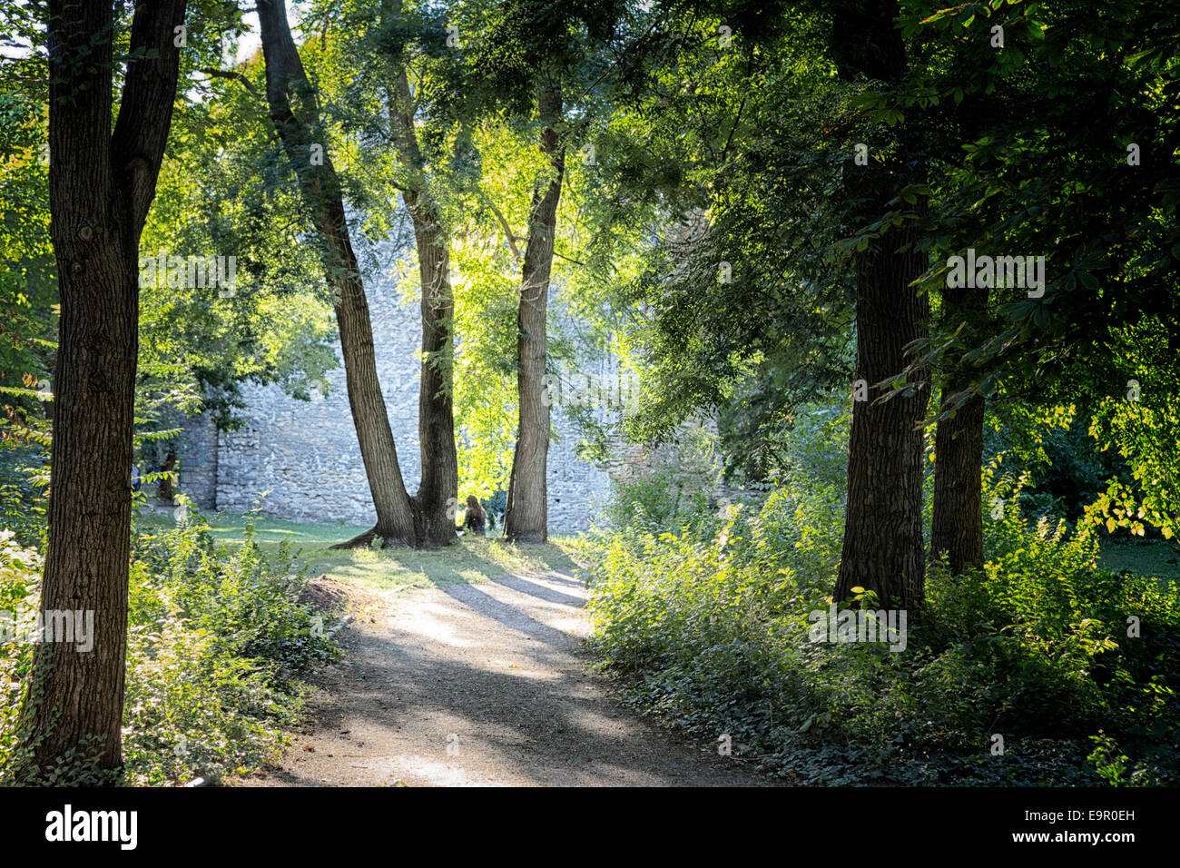 Lone donna seduta sotto gli alberi tra i cespugli verdi e il vecchio muro in mattoni in foresta mistica e magica atmosfera fiabesca Foto Stock