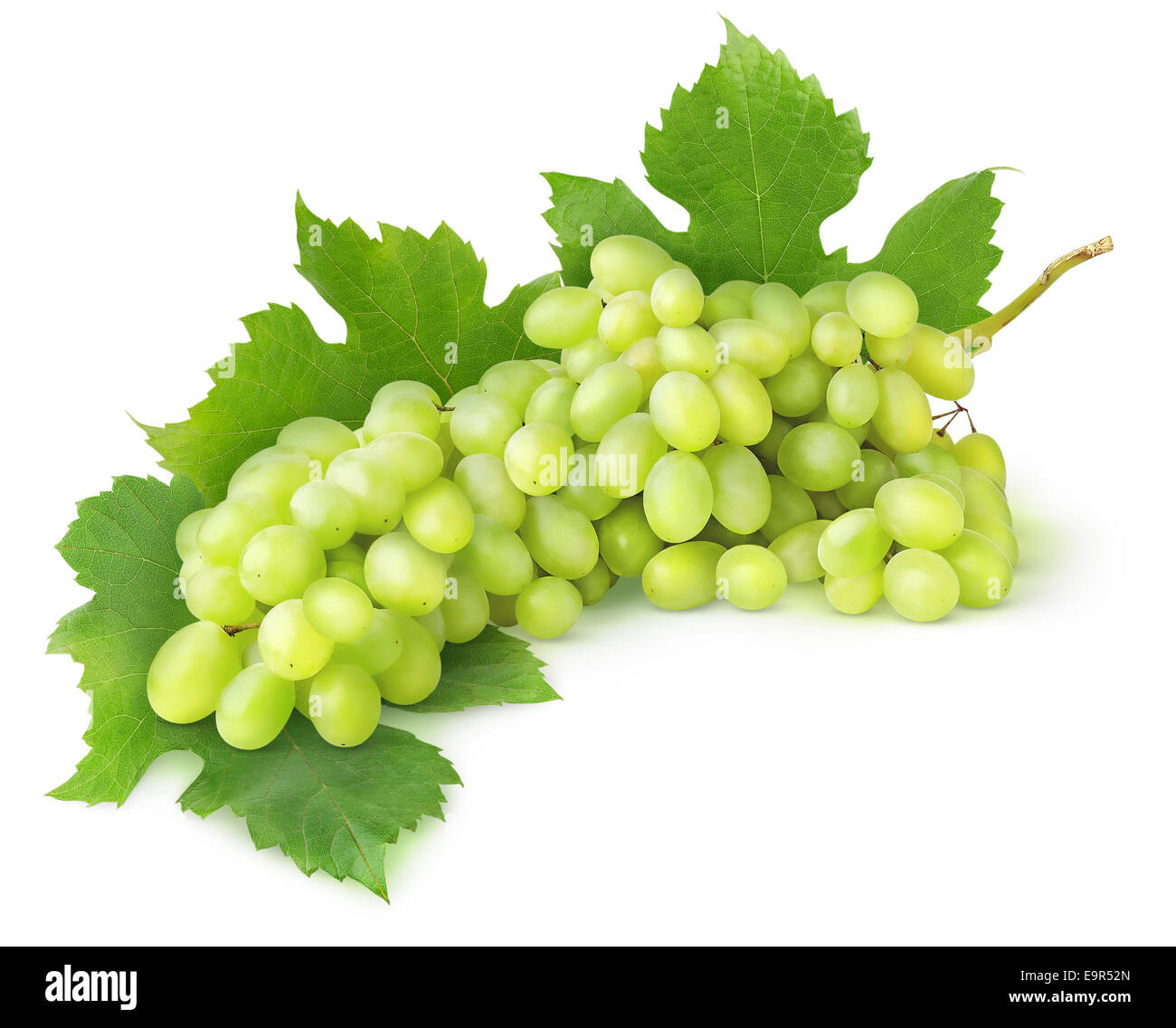 Uva verde con foglie isolato su bianco Foto Stock