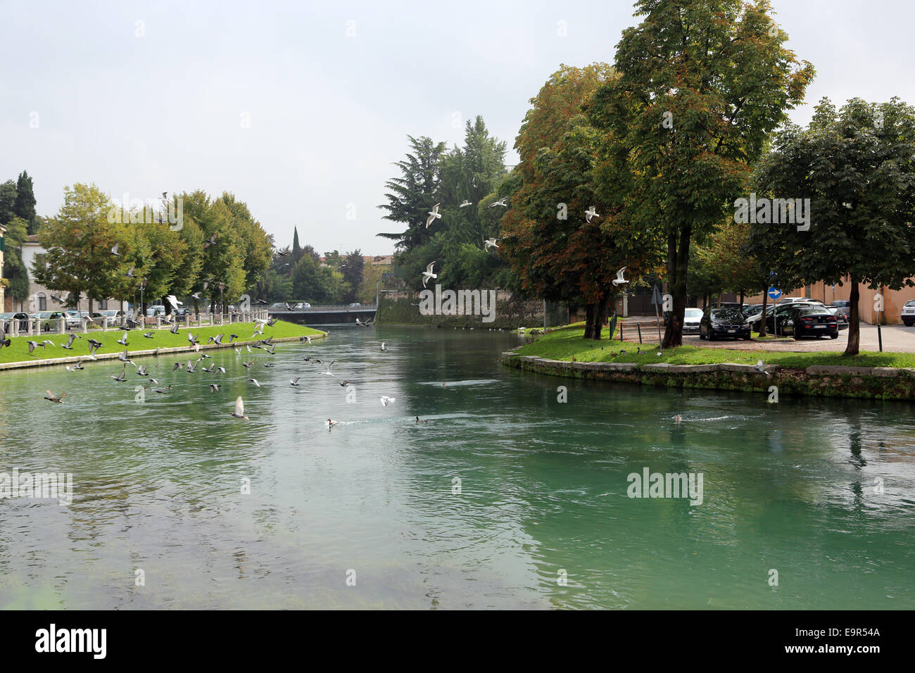 L'Italia, Treviso, città vecchia Foto Stock