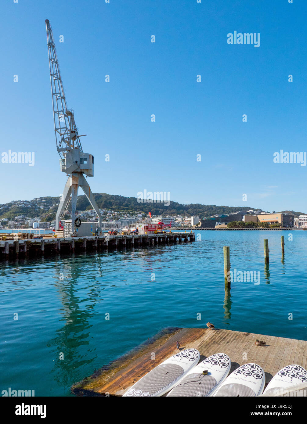 Gru del porto, Queens Wharf, Wellington, Nuova Zelanda, guardando verso Miramar Foto Stock