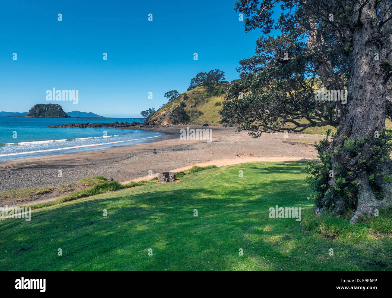 Alberi e la fascia costiera, Port Jackson, Penisola di Coromandel, Nuova Zelanda Foto Stock