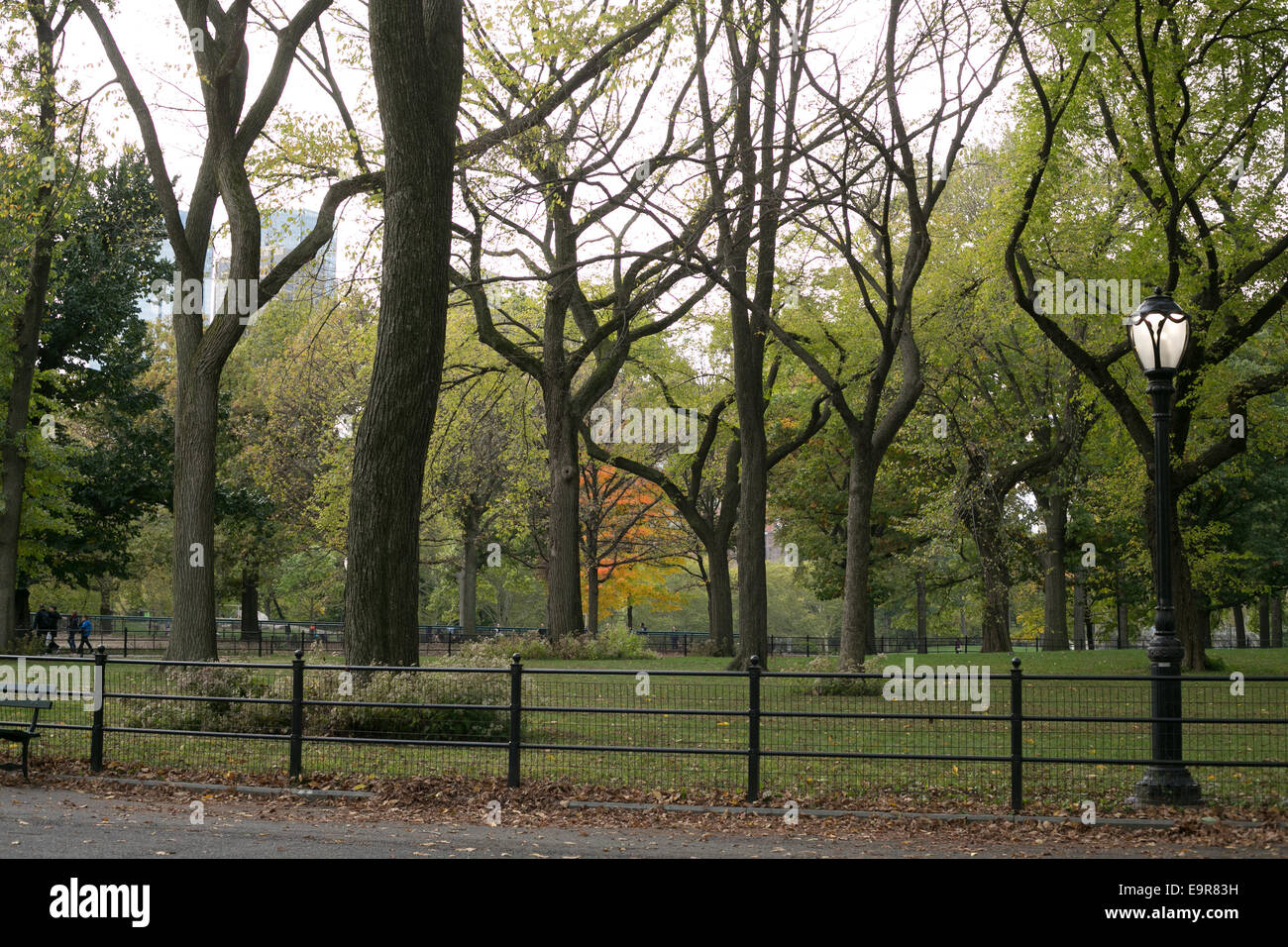 Una tranquilla area di Central Park di New York City. Foto Stock