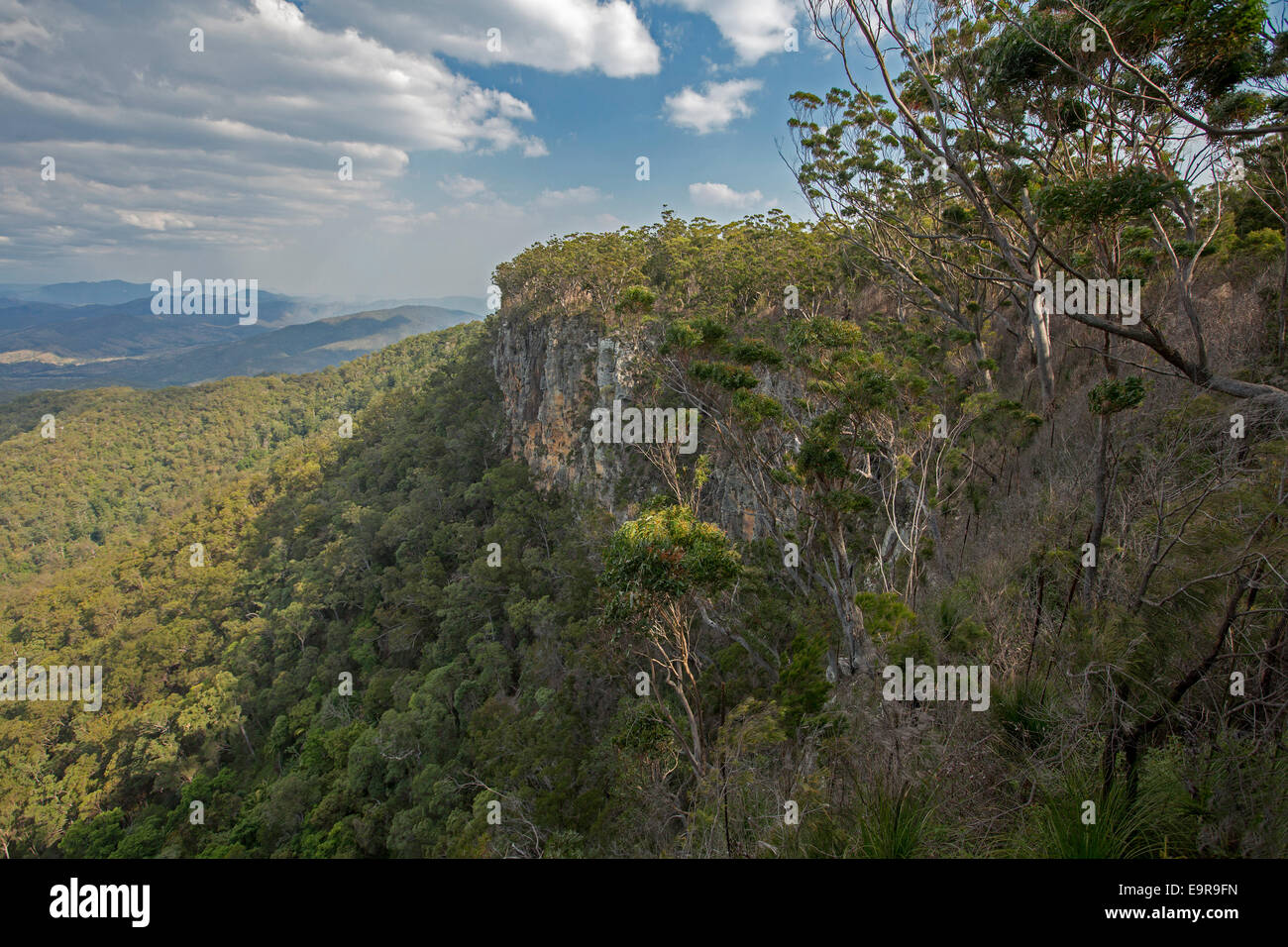 Vista del paesaggio australiano con alte pareti rocciose a strapiombo e valle boscosa da lookout in remoto Kroombit Tops National Park Foto Stock