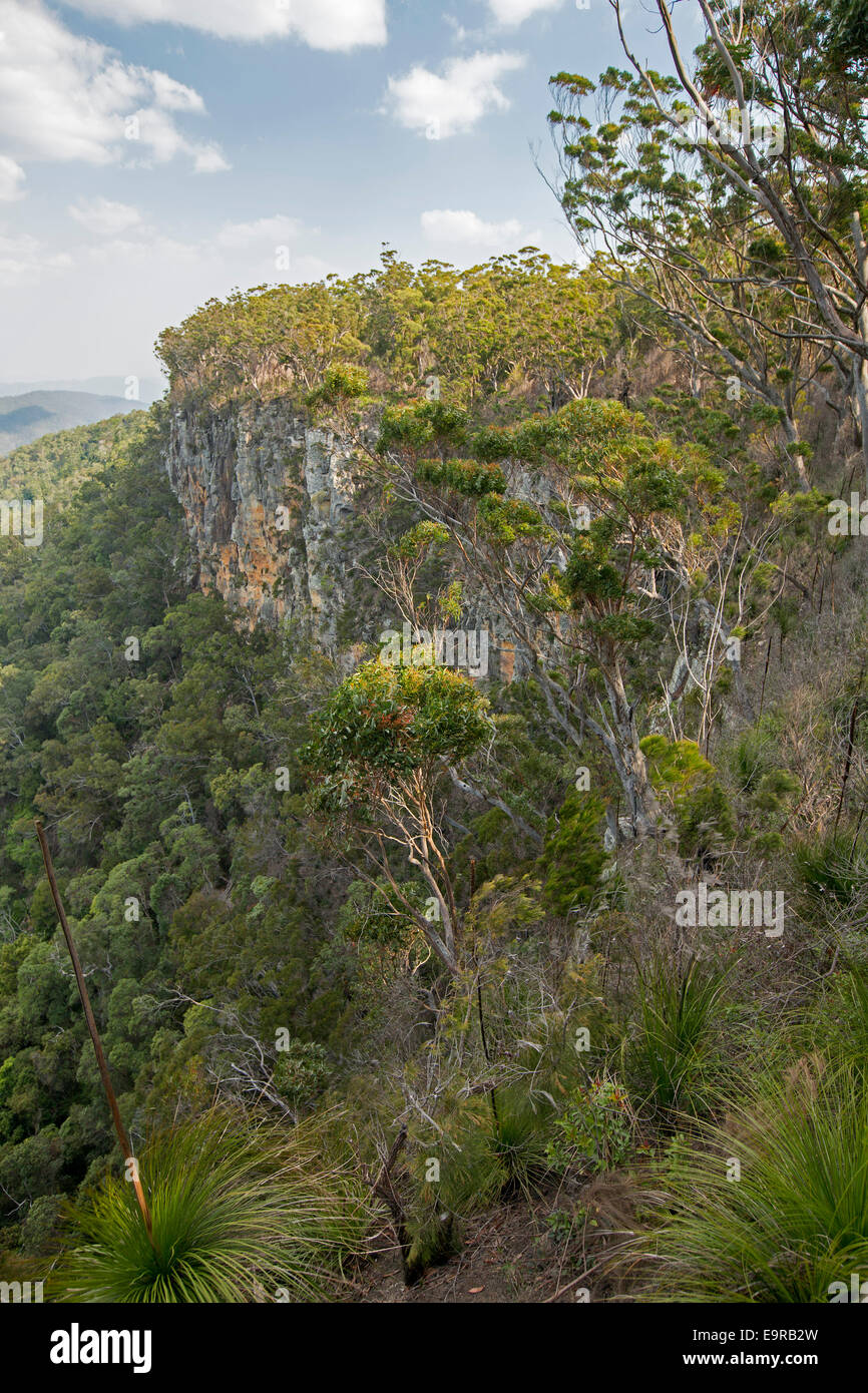 Vista del paesaggio australiano con alte pareti rocciose a strapiombo e valle boscosa da lookout in remoto Kroombit Tops National Park Foto Stock