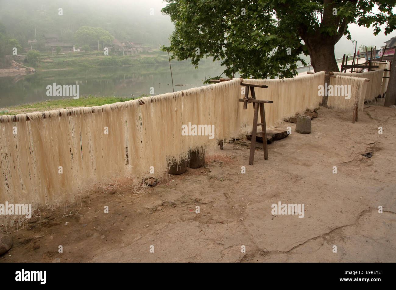 Fresche fatte spaghetti noodles essiccazione, Shidong, Guizhou, Cina Foto Stock