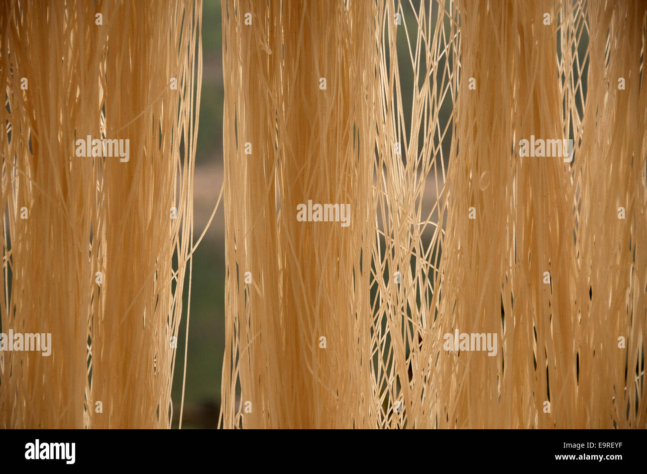 Fresche fatte spaghetti noodles essiccazione, Shidong, Guizhou, Cina Foto Stock