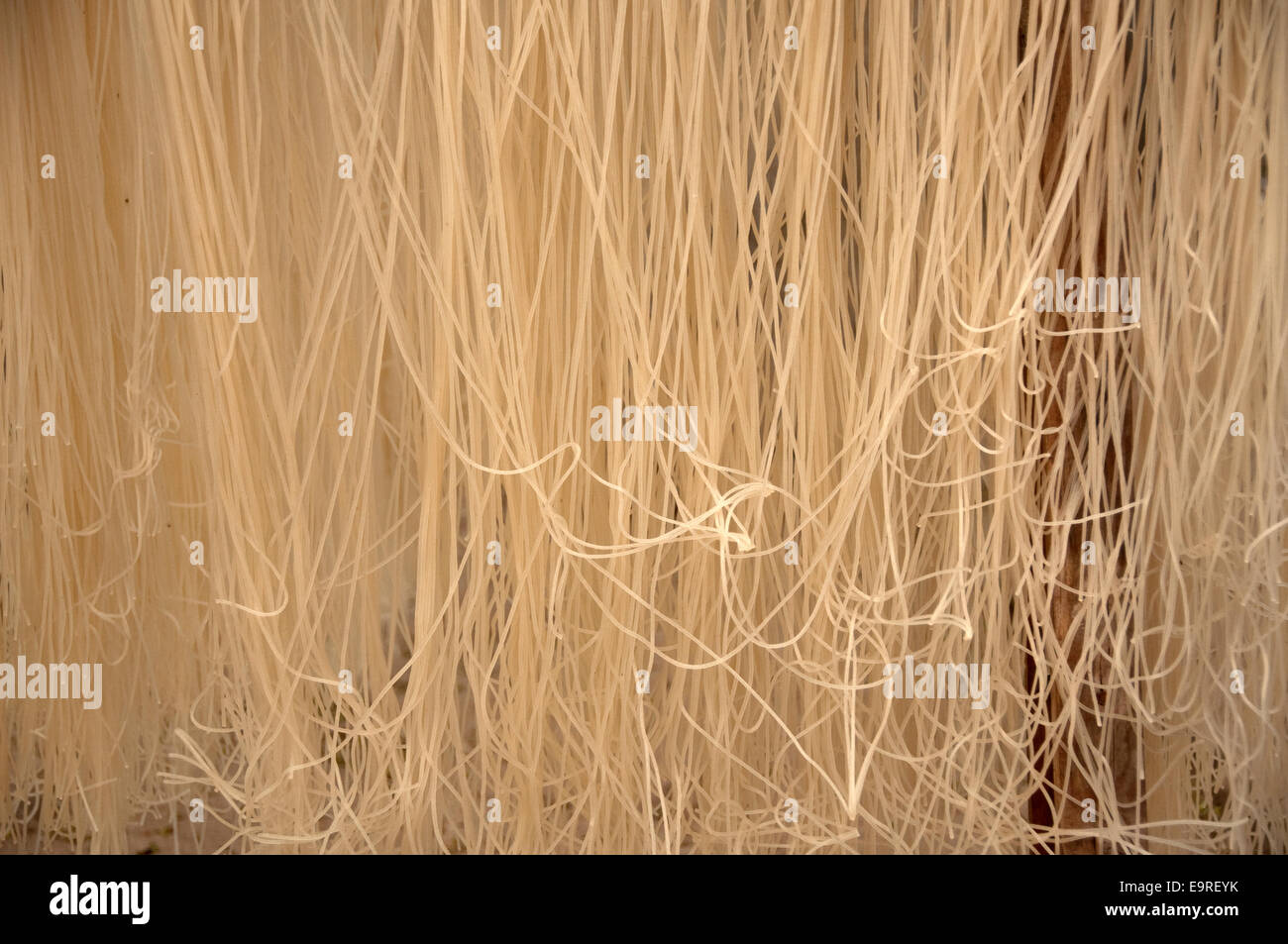 Fresche fatte spaghetti noodles essiccazione, Shidong, Guizhou, Cina Foto Stock