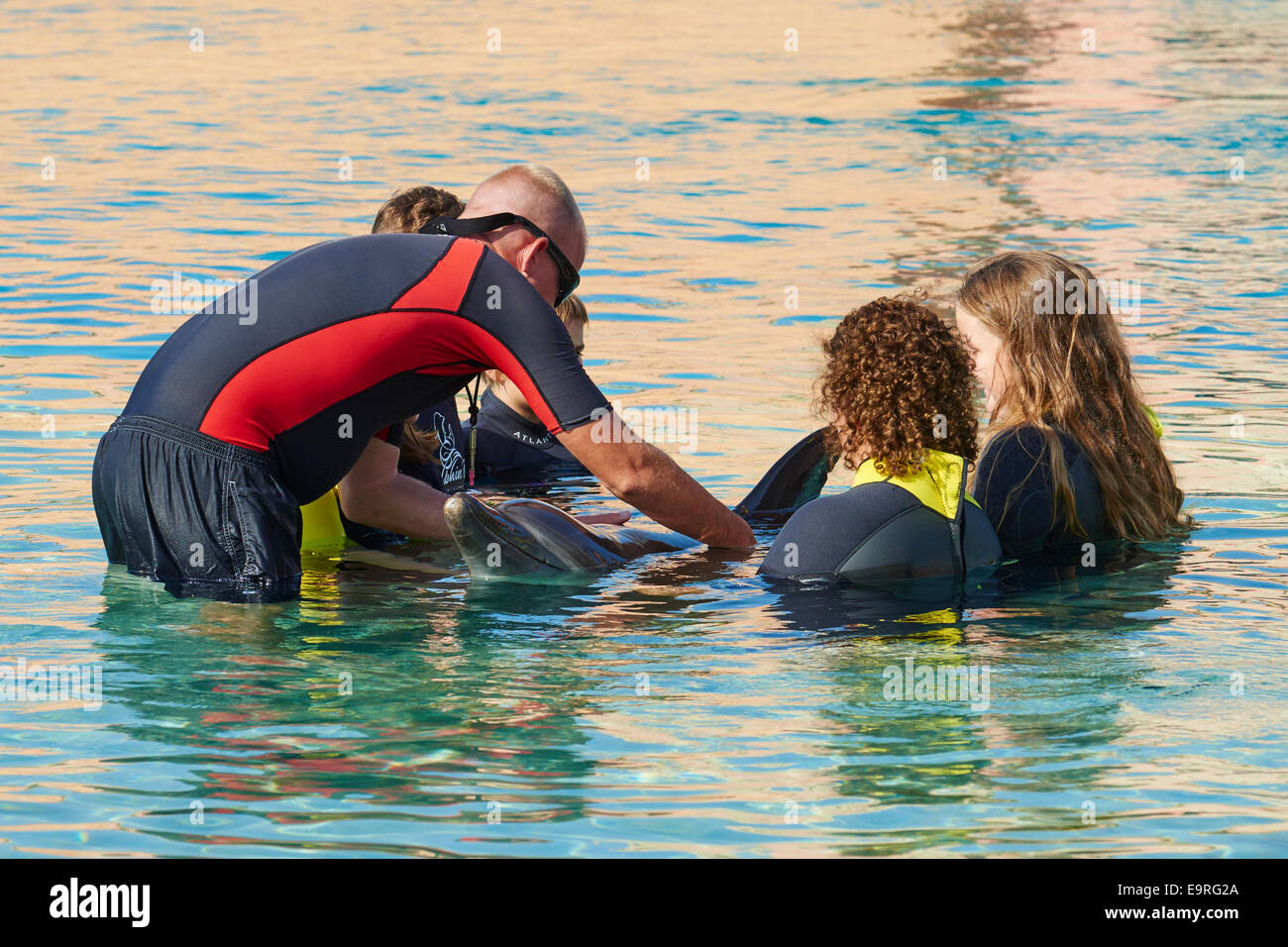 Gruppo di persone che sostengono e accarezzare un delfino durante un incontro Dolphin Dolphin Bay, l'Hotel Atlantis Palm Dubai EMIRATI ARABI UNITI Foto Stock