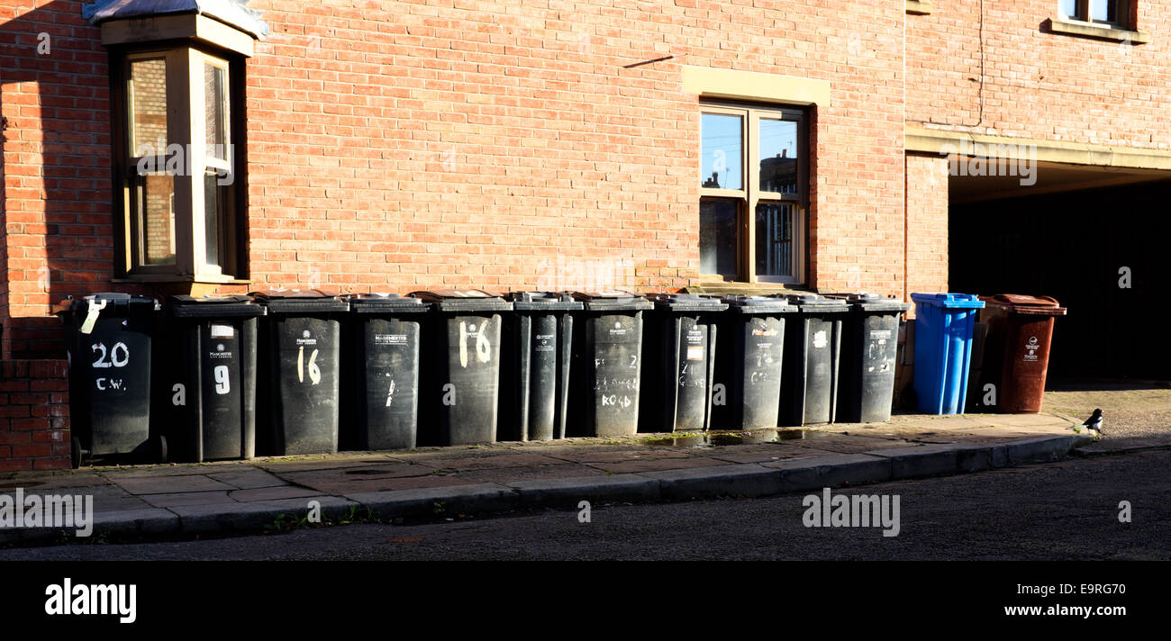 Manchester, Regno Unito, 1 novembre 2014 la raccolta dei rifiuti azienda Amey è segnalato come adottare una politica a partire da oggi di random scavato e alcool test di bin collezionisti. Essa è stata in grado di offrire il servizio su base volontaria nelle ultime settimane. Enterprise Manchester, parte del Gruppo e responsabile per la raccolta dei rifiuti in Manchester, è riportata come dicendo che non ci sarà alcuna interruzione dei servizi. Drug Test Manchester, UK Credit: Giovanni friggitrice/Alamy Live News Foto Stock