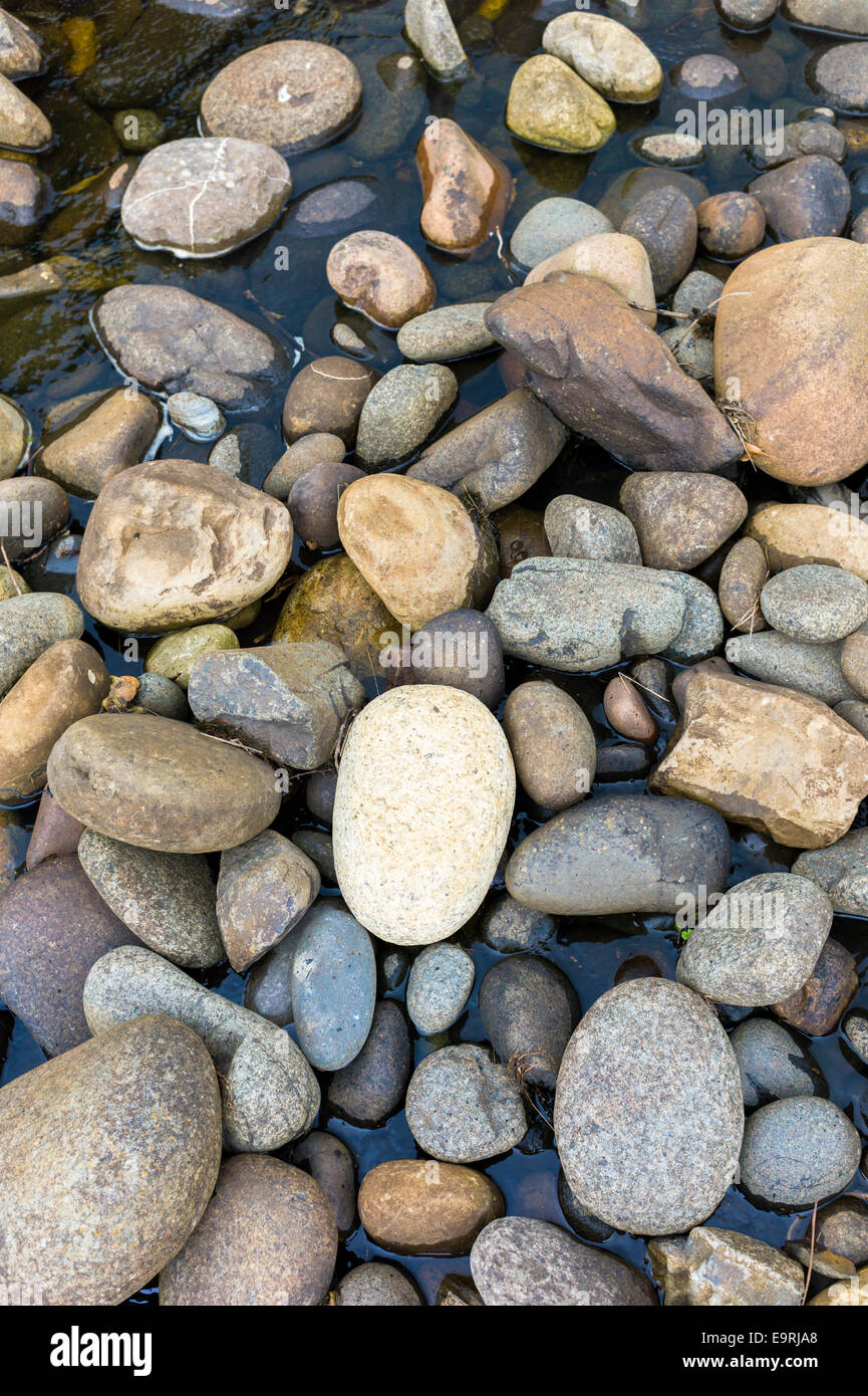 Tonalità pastello e di varie dimensioni di rocce granitiche e ciottoli bagnata con acqua di mare sulla spiaggia, Isola di Skye, le Western Isles della Scotl Foto Stock
