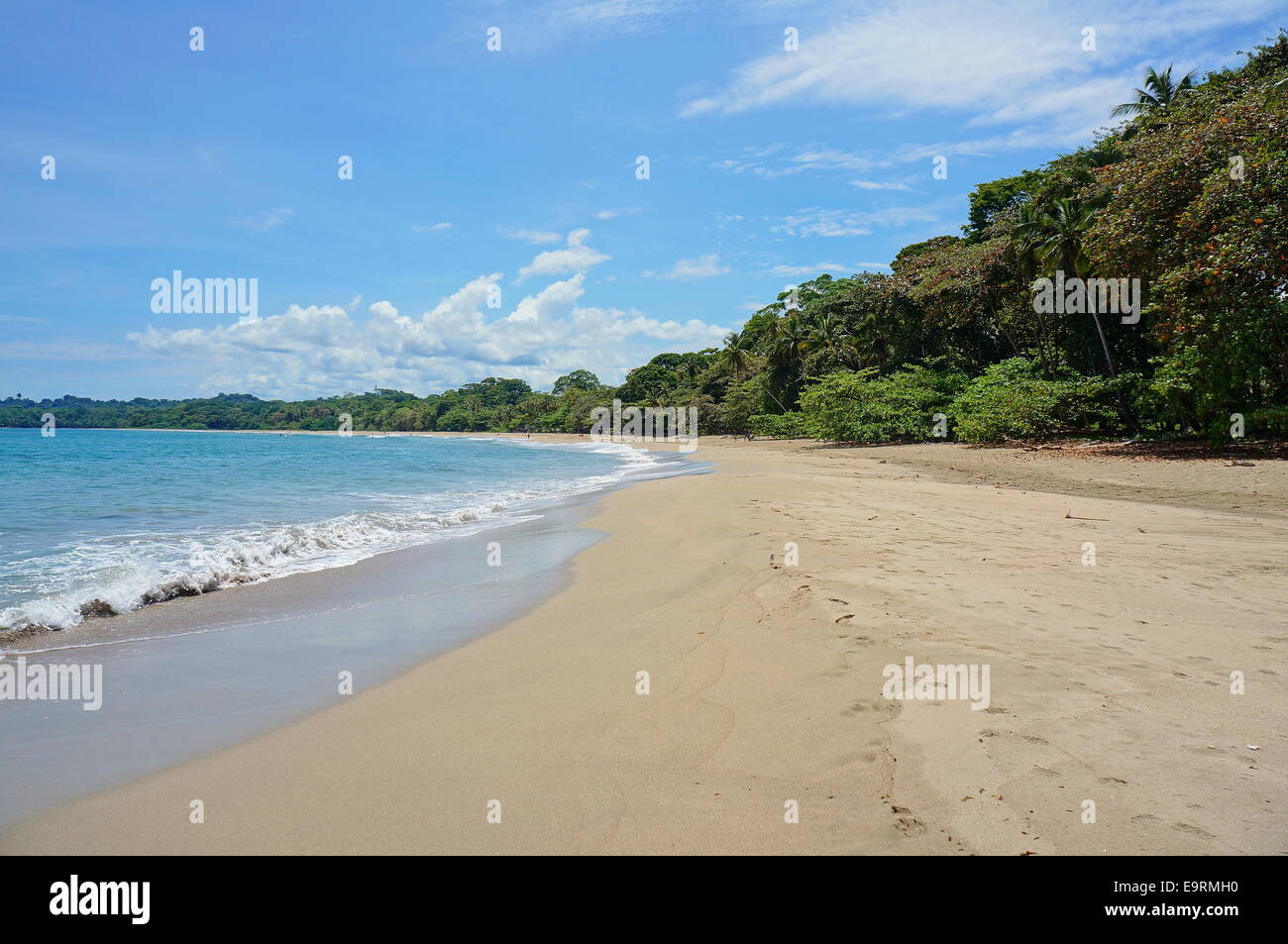 La spiaggia incontaminata di Cocles sulla costa caraibica del Costa Rica, Puerto Viejo de Talamanca Foto Stock