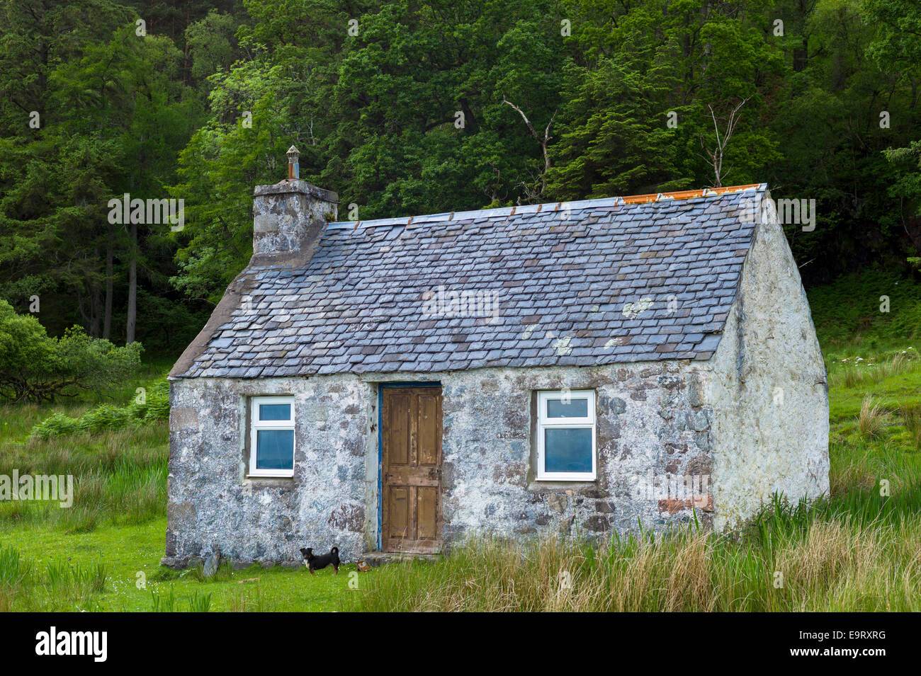 Terrier dai tradizionali umile Scottish Fisherman's cottage a Kilmalieu sulle rive di Loch Linnhe, Highlands occidentali di Scotl Foto Stock