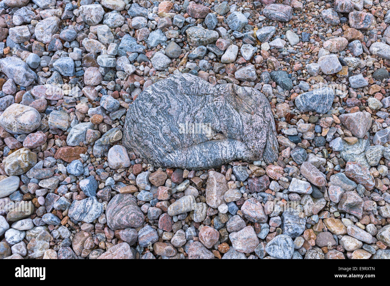 Tonalità pastello e di varie dimensioni di rocce granitiche e ciottoli in strati di colori sulla spiaggia del litorale di Loch Linnhe in noi Foto Stock