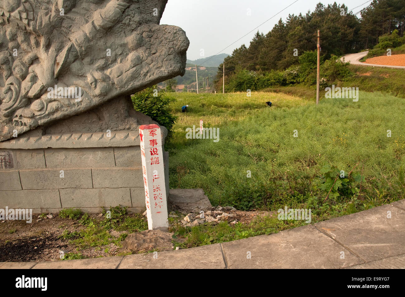 Cippi di Mao Zedong la lunga di marzo tra campi, Guizhou, Cina Foto Stock