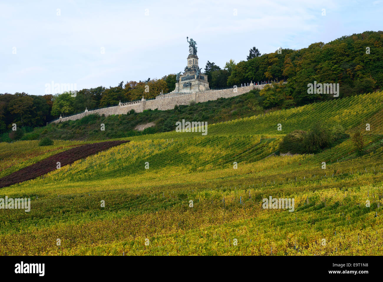 Niederwalddenkmal (monumento Niederwald) e vigneti in autunno. Niederwald Park, Rüdesheim am Rhein, Assia, Germania. Foto Stock