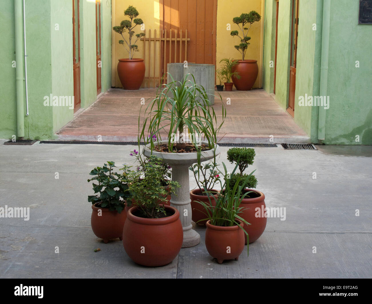 Contenitore giardino in adobe pentole di creta nell'Istituto di Cultura, Campeche, Messico Foto Stock