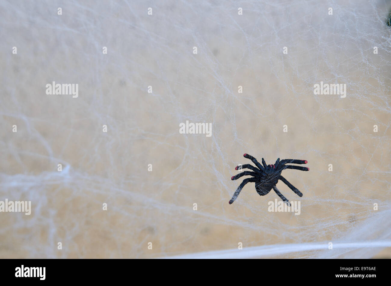 Finta ragnatela immagini e fotografie stock ad alta risoluzione