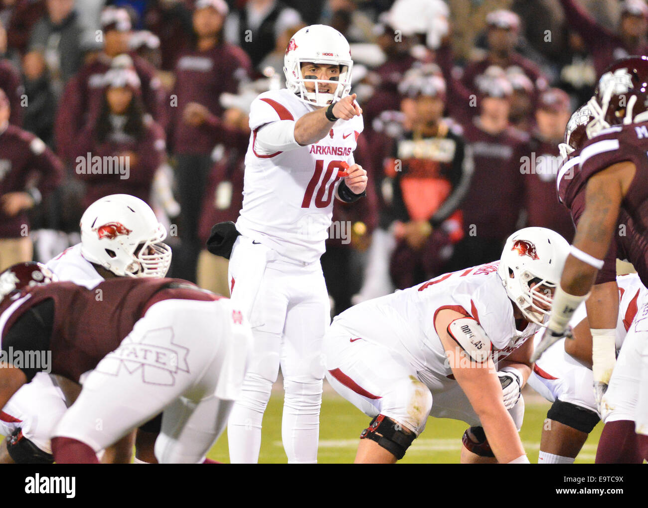 Starkville, Mississippi, Stati Uniti d'America. 1 Nov, 2014. Arkansas Razorbacks quarterback Brandon Allen (10) grida di ordini durante il NCAA Football gioco tra il Mississippi State Bulldogs e l'Arkansas Razorbacks a Davis Wade Stadium di Starkville MS. Credito: Cal Sport Media/Alamy Live News Foto Stock