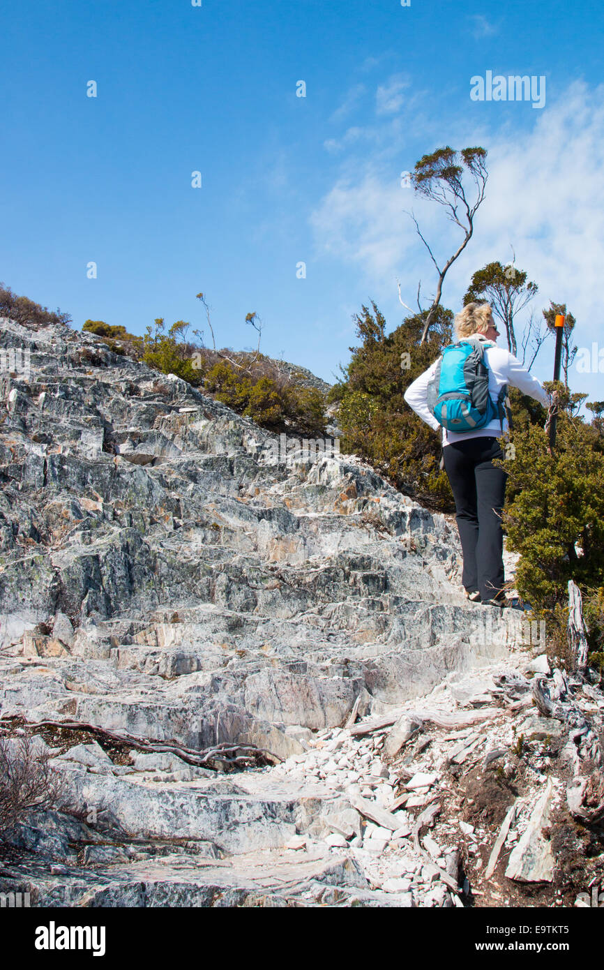 Signora donna escursionismo a piedi verso il cratere del lago Cradle mountain lake st clair national park,Tasmania, Australia Foto Stock