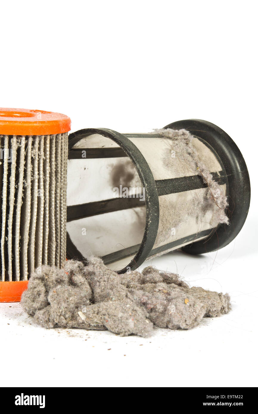 Contaminati da polvere e detriti il filtro e la griglia aspirapolvere domestico Foto Stock