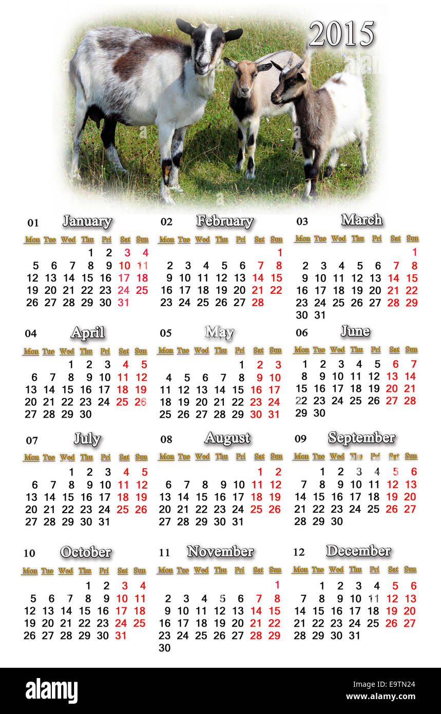 Bellissimo il calendario per il 2015 anno con capre sul pascolo Foto Stock