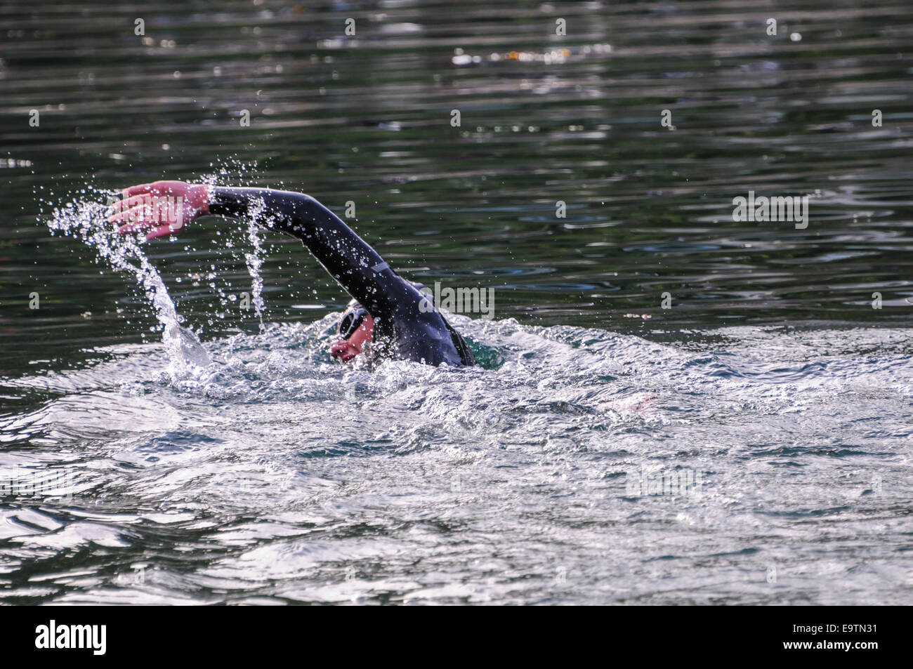 Open Water Swimming in chiusura a shore a Aurlandsfjellet Xtreme Triathlon 2013 gara di Aurland, Sogn, Norvegia Foto Stock