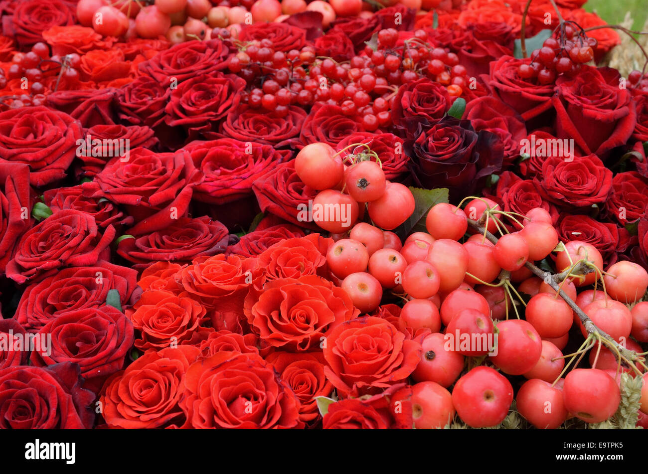 Sfondo di matrimonio di frutti rossi e fiori Foto Stock