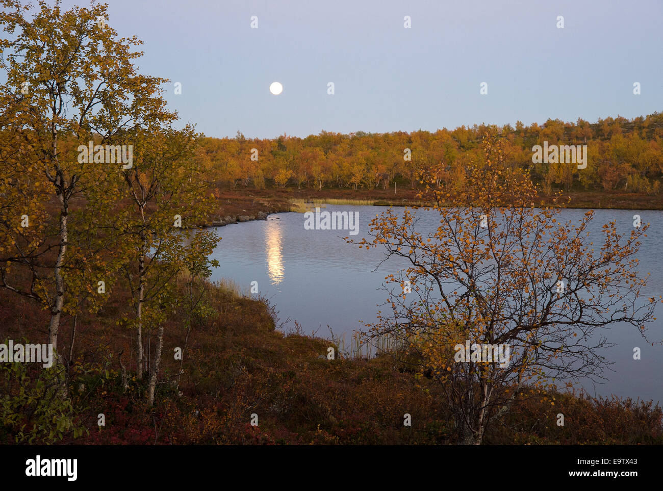 Luna sorgono sul piccolo lago Foto Stock