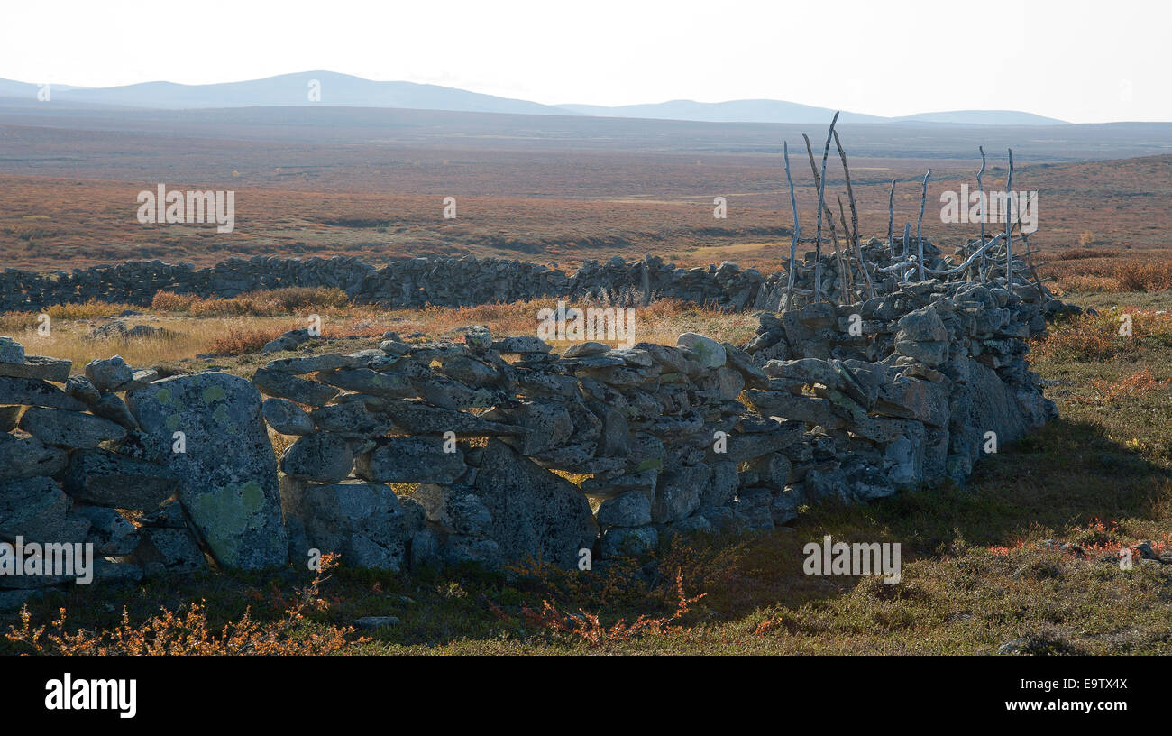 Antica recinzione in pietra di renne imbrancandosi Foto Stock