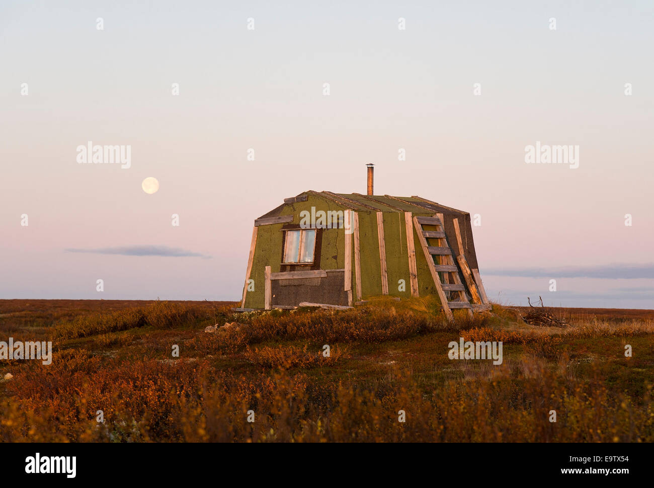 Luna e aprire wilderness hut Foto Stock