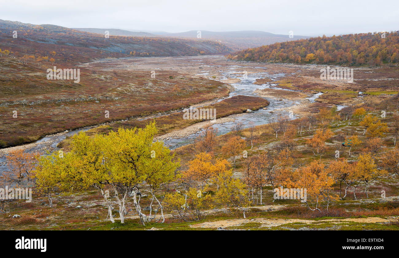 Un paesaggio autunnale di vallata del fiume della Lapponia Foto Stock