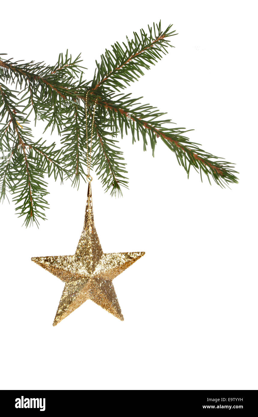 Oro glitter stella di Natale decorazione appeso a un albero di Natale ramo contro uno sfondo bianco Foto Stock