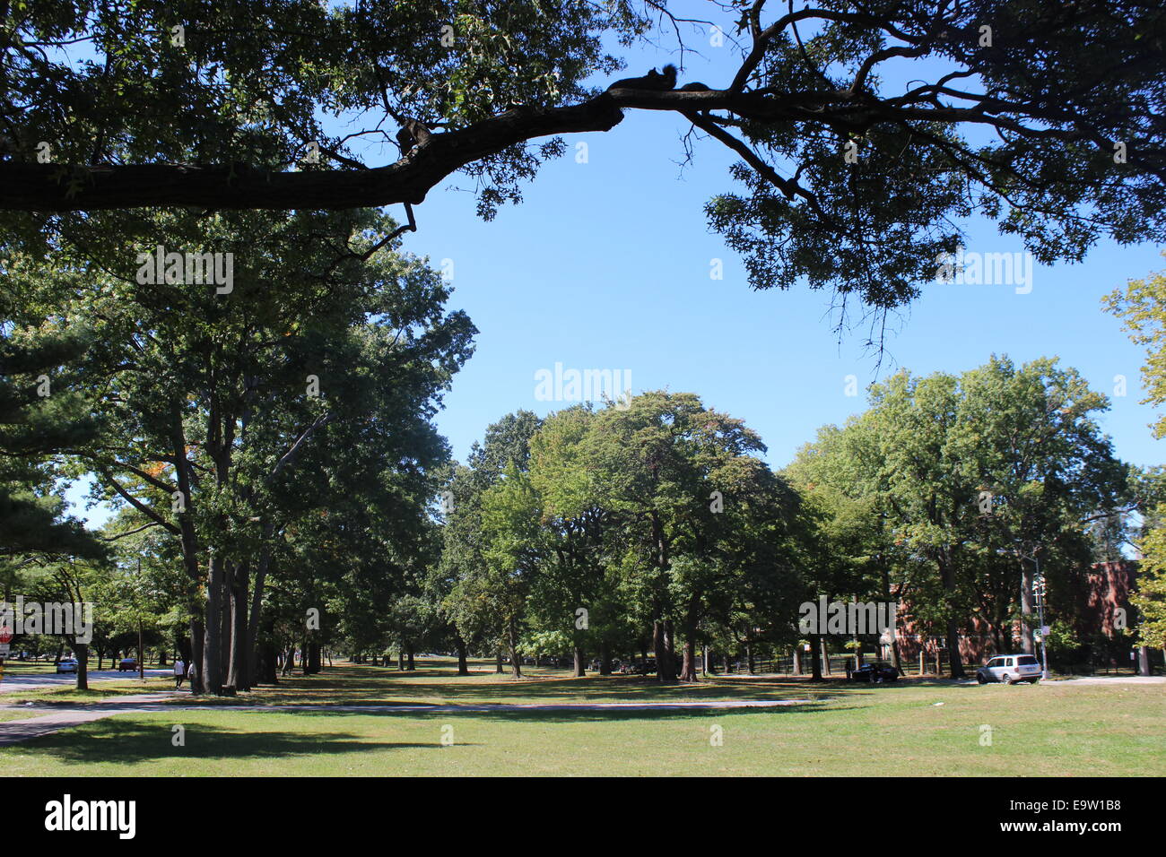 Pelham Parkway, Bronx, New York Foto Stock