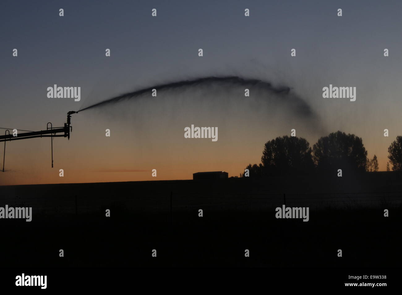 Sprinkler irrigazione all'alba, Idaho Foto Stock