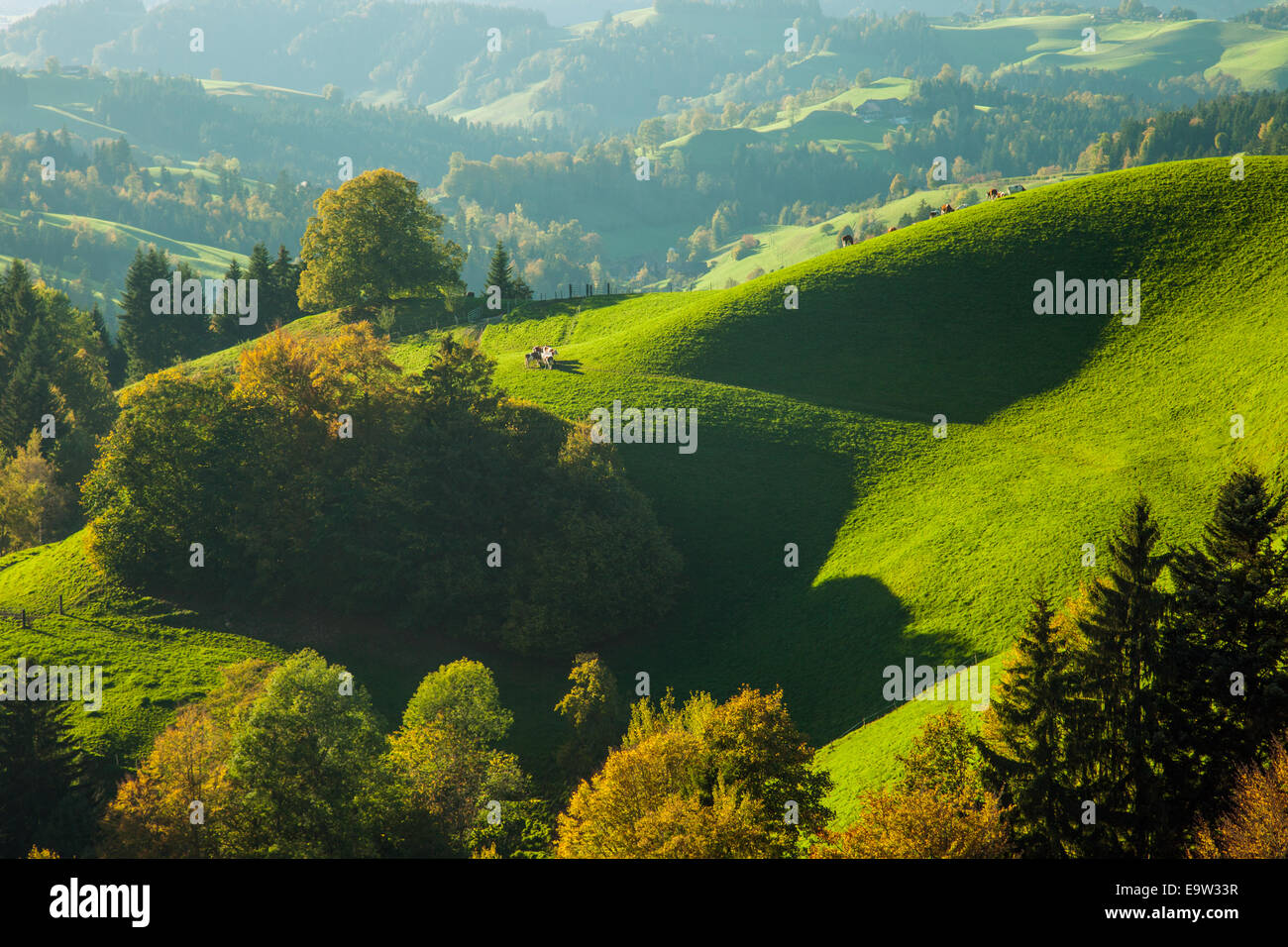 Pomeriggio autunnale nella Emmental regioin, cantone di Berna, Svizzera. Foto Stock