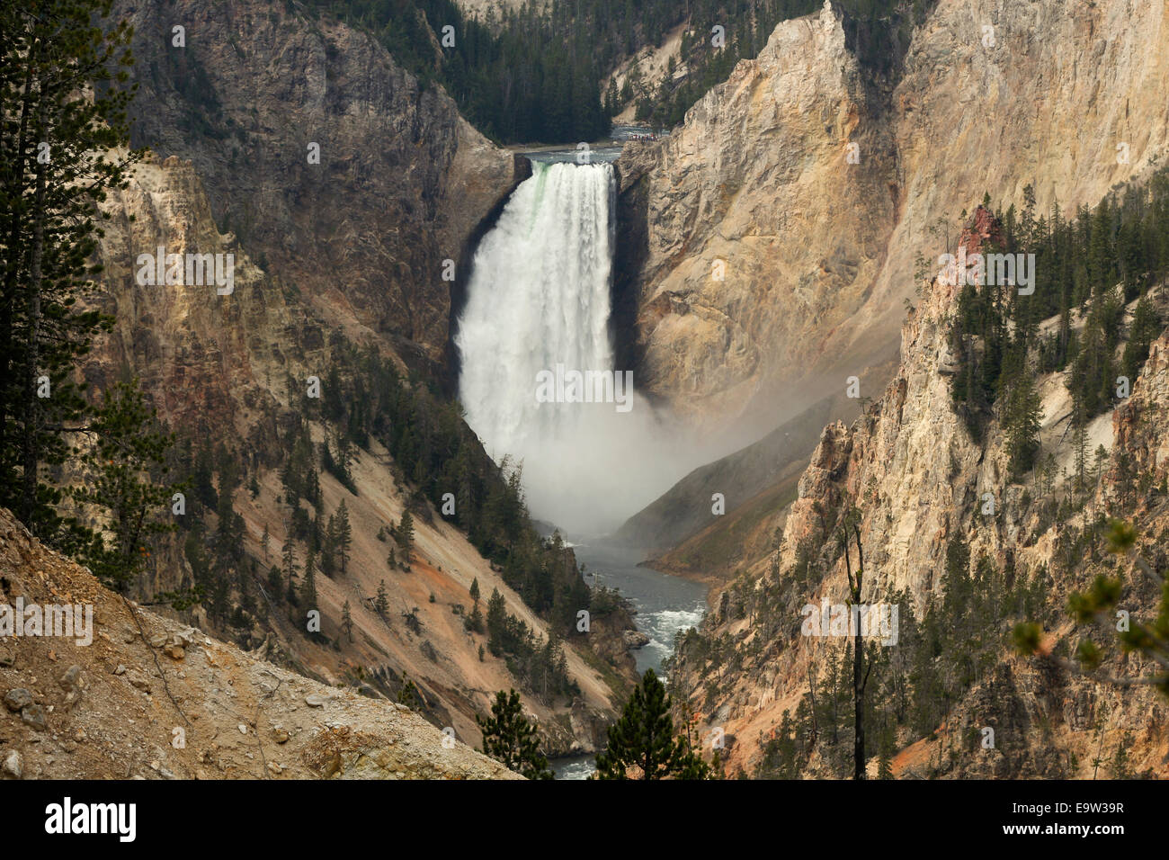 Inferiore cade Yellowstone, il Parco Nazionale di Yellowstone, Wyoming Foto Stock