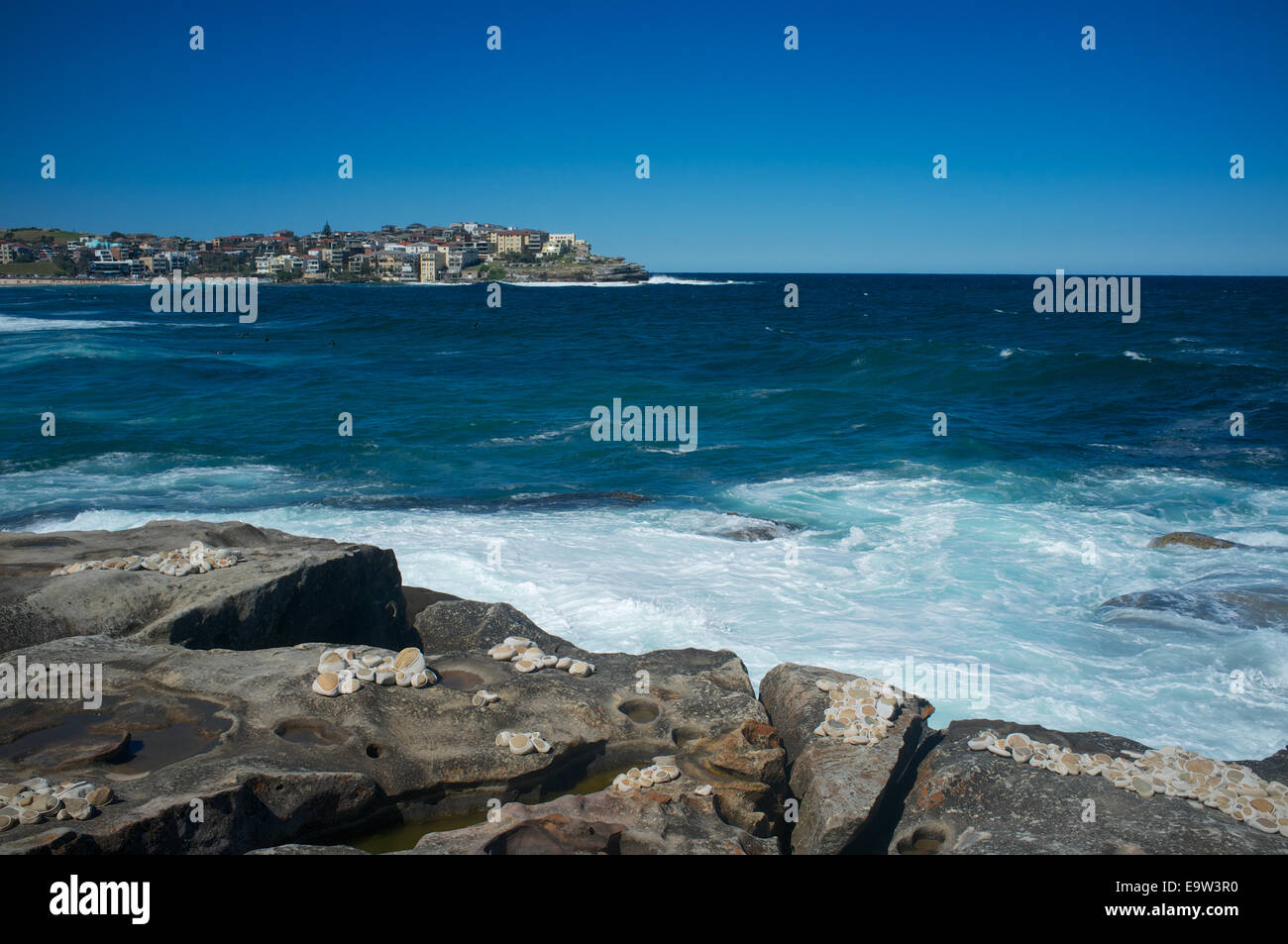 I gusci sono una delle sculture del mare mostra per 2014 a Bondi, Sydney, Australia Foto Stock