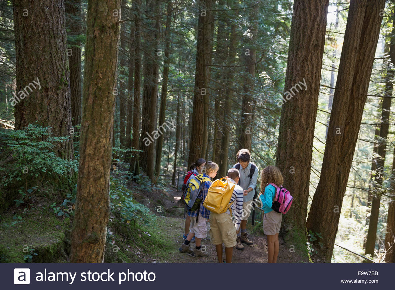Insegnanti e bambini nei boschi Foto Stock