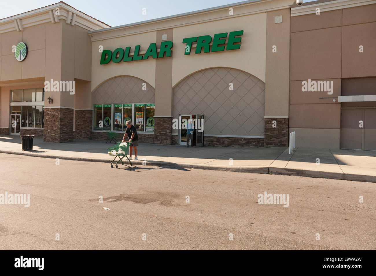 Dollar Tree varietà sconto negozio general merchandise dettagliante di Lady Lake, Florida USA Foto Stock