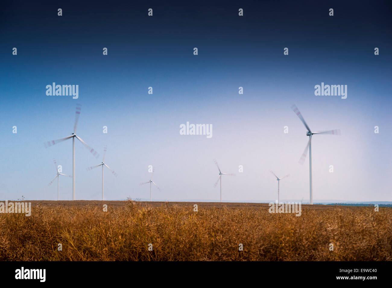 Per centrali eoliche - turbine a vento ruotando sui terreni agricoli al crepuscolo. Foto Stock