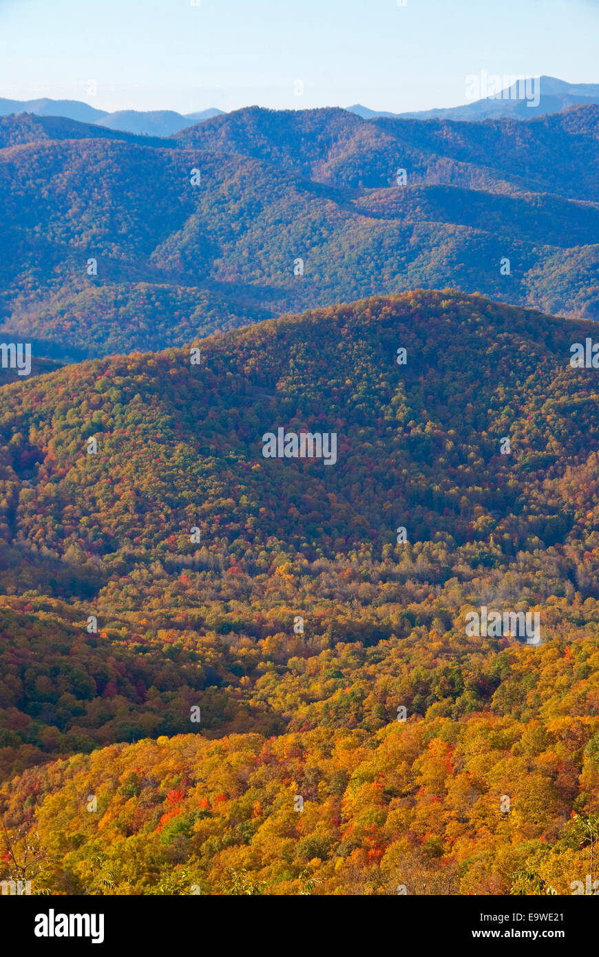Colore di autunno da Blue Ridge Parkway si affacciano nel sud Appalchians vicino a Asheville, North Carolina. Foto Stock