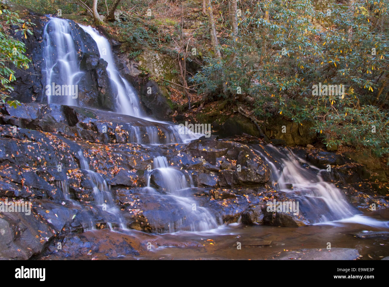 Laurel scende lungo il piccolo fiume strada in autunno nel Parco Nazionale di Great Smoky Mountains. Foto Stock