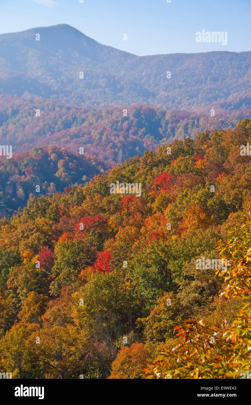 Parco Nazionale di Great Smoky Mountains vicino al piccolo fiume strada in autunno. Foto Stock