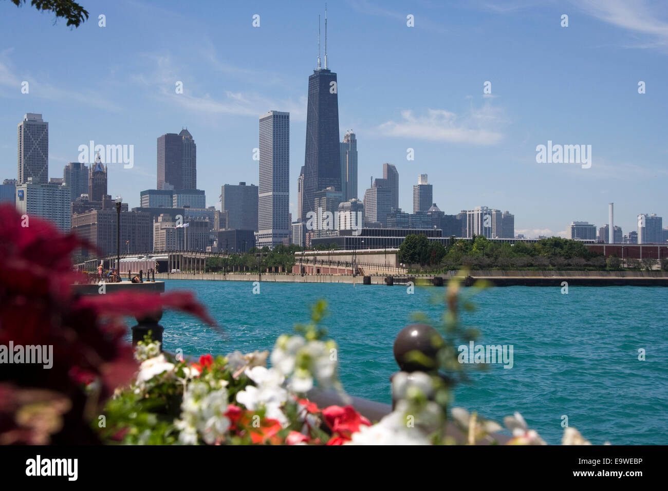 Vista di fiori di Chicago e del lago Michigan shore linea. Foto Stock